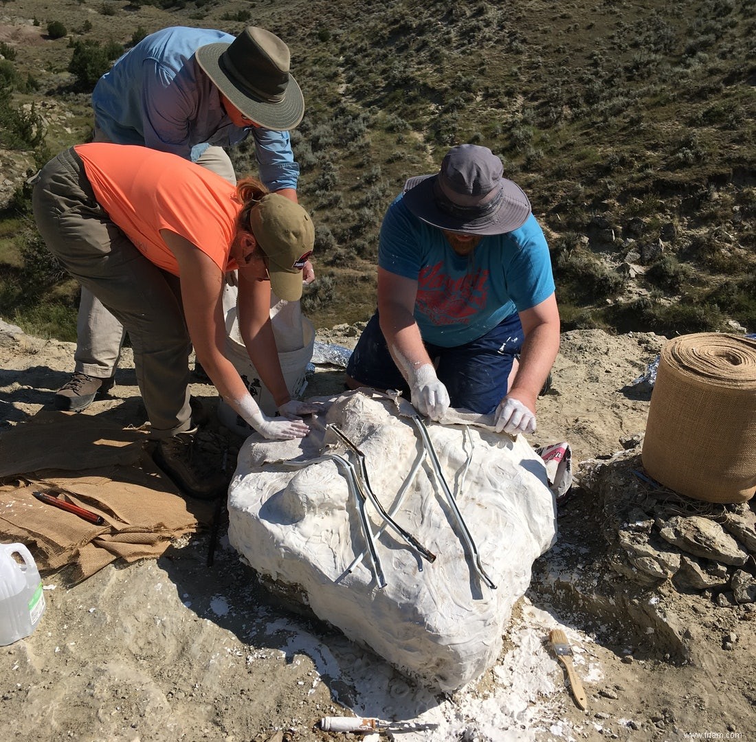 Chasse aux dinosaures dans le Wyoming (2) :Le vrai Jurassic Park 