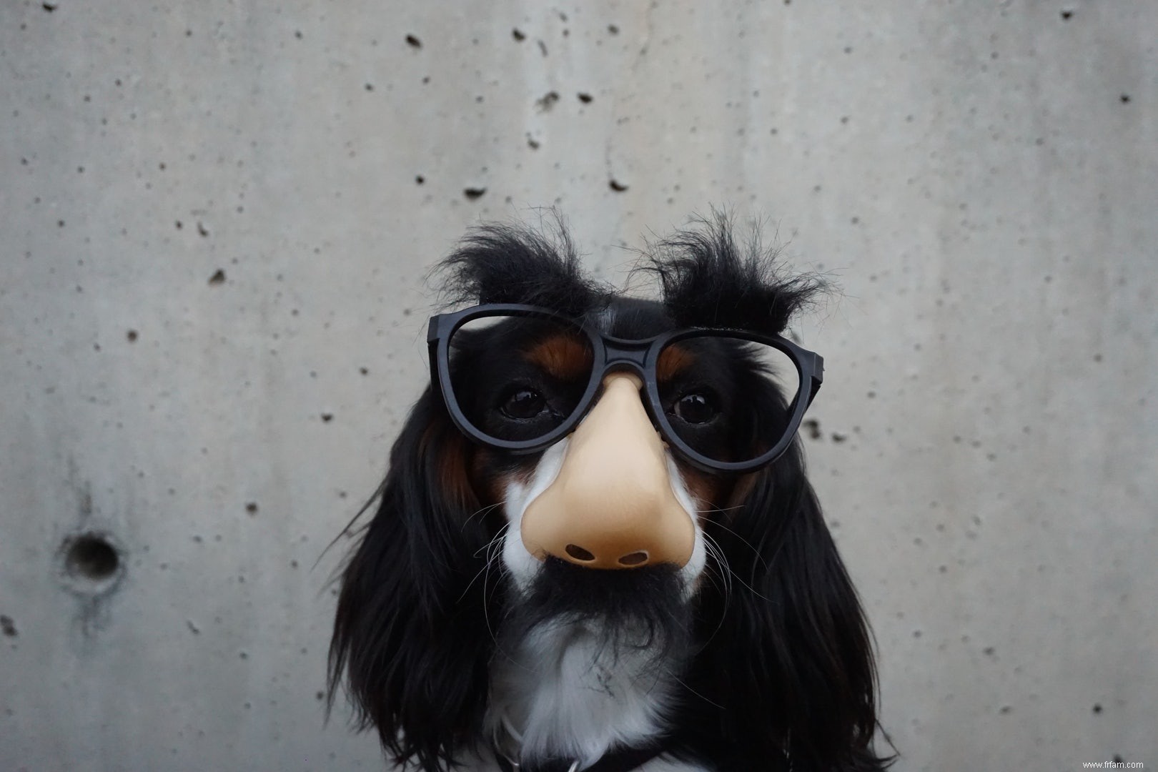  Parfois, les maths portent une fausse moustache et un chapeau fou  