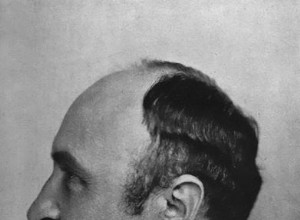 Personnages historiques dans l actualité :Leo Baekeland 