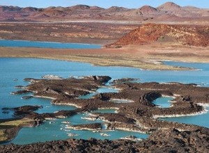 Les australopithèques étaient-ils aussi des Harry à portée de main ? 