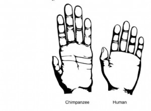 Des mains humaines plus primitives que les chimpanzés 