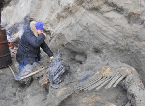 Les humains rendent le cercle polaire arctique dangereux depuis plus longtemps que prévu 