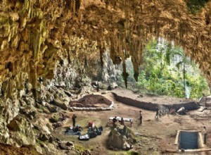 Hobbit a disparu 40 000 ans plus tôt 