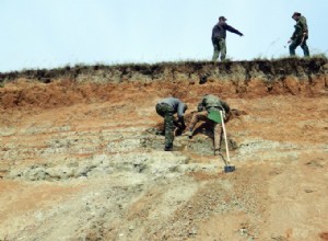 900 autres dinosaures à découvrir 