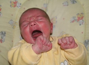 Le père a aussi  l instinct maternel  