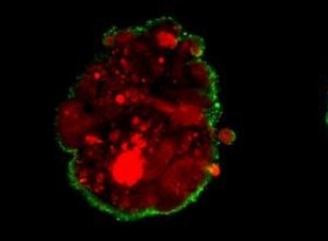 Contrefaçon de la barrière hémato-encéphalique 