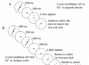 La mémoire préfère le contexte aux détails 