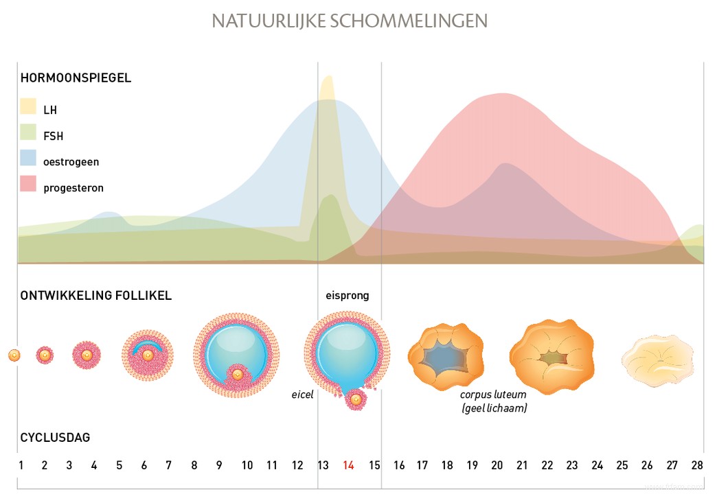 Quand les menstruations rendent le travail et la famille impossibles 