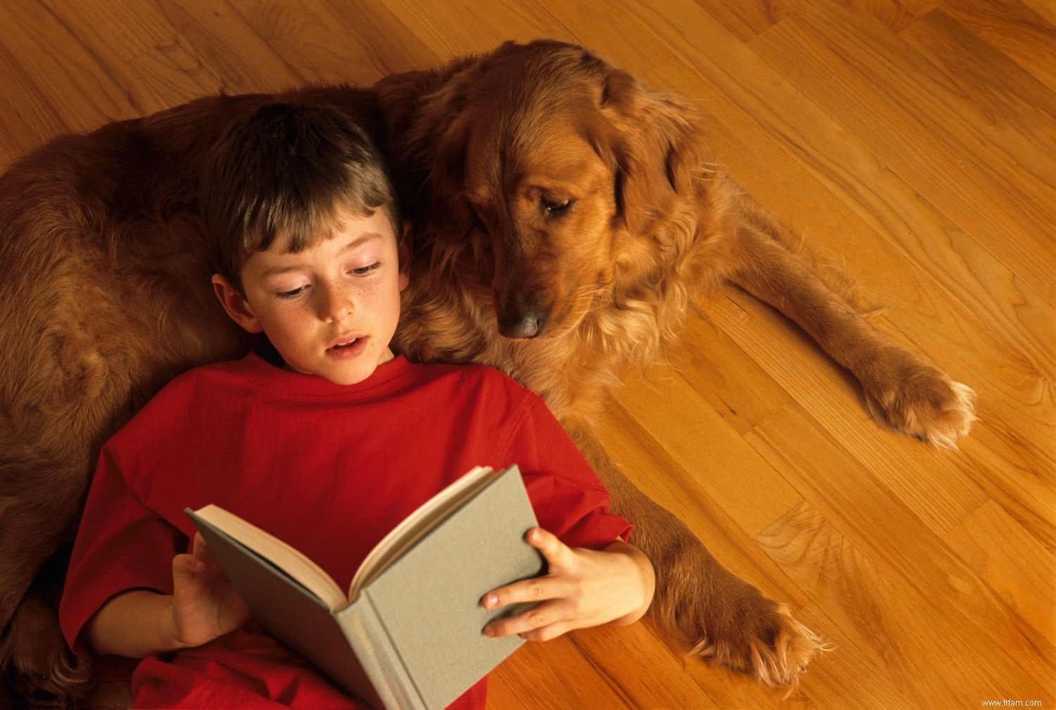 Votre enfant déteste lire ? Donnez-lui un chien comme public 