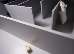 Les rats ont une mémoire épisodique 