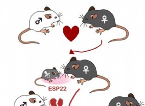 Les larmes de bébé suppriment la libido de la mère 