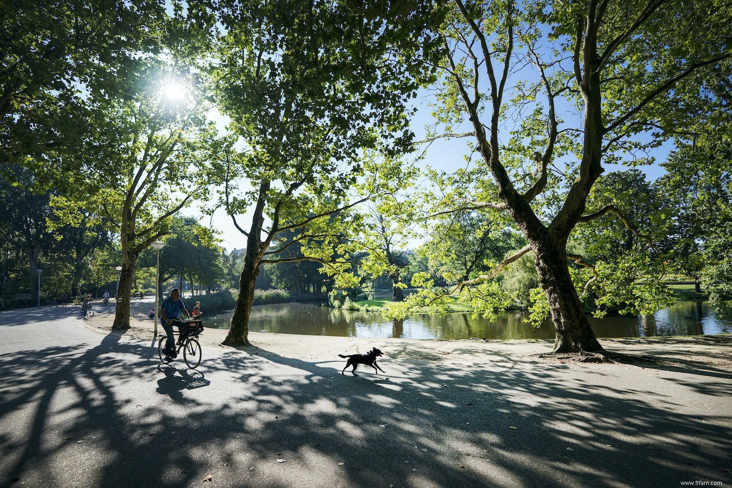 Les problèmes mentaux sont plus fréquents en ville. Voici les causes (et les solutions) 