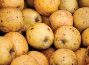 Recette Salade d endives, noix et pommes sauce Roquefort 