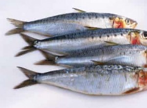 Alternatives au maquereau :quatre plats de poisson 