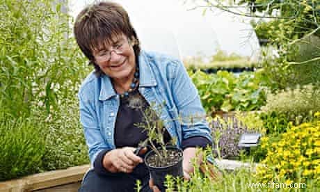 De la parcelle à l assiette :les secrets du potager des chefs 