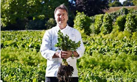 De la parcelle à l assiette :les secrets du potager des chefs 