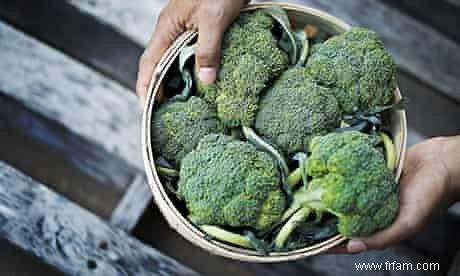 Comment faire pousser votre propre brocoli 