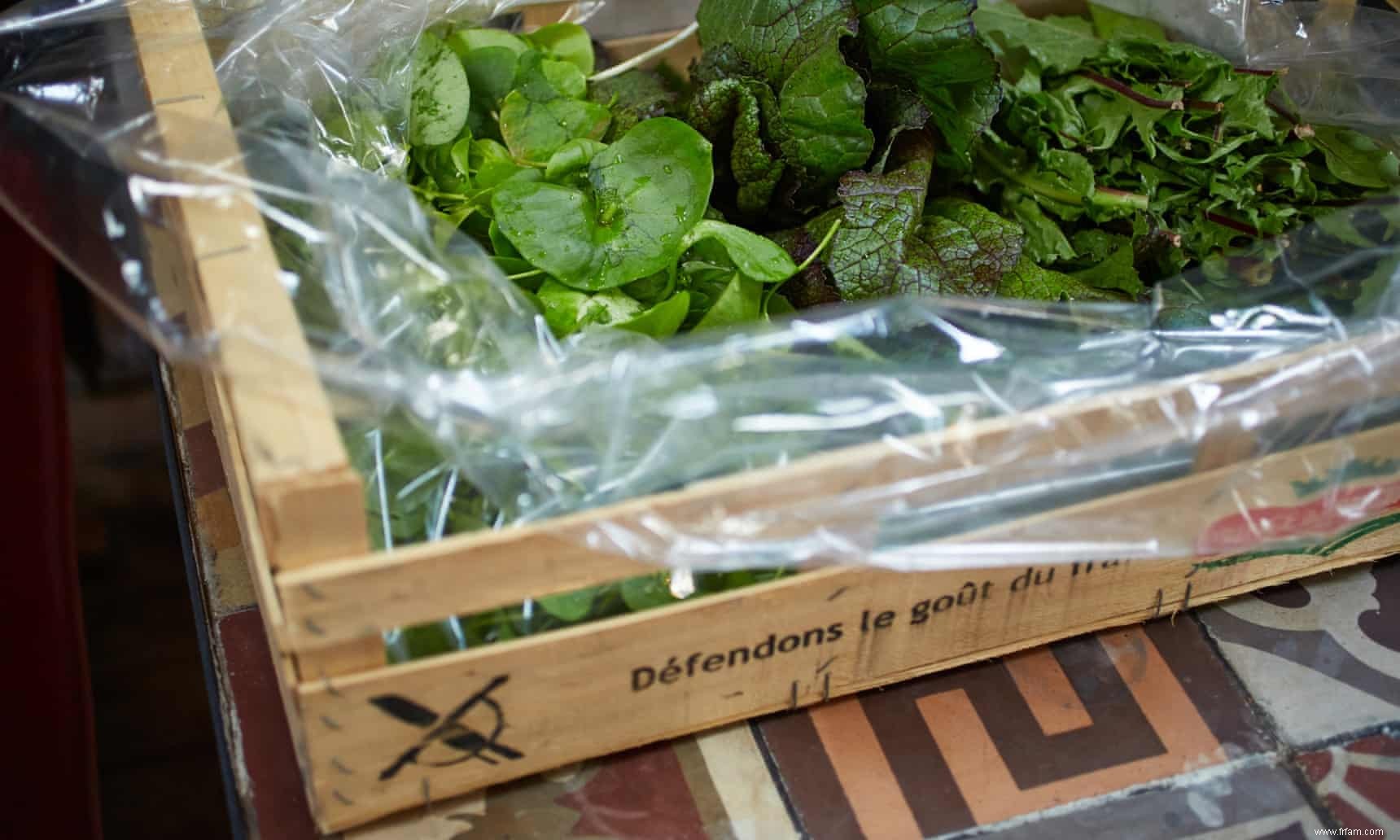 Un palais frais et une assiette propre :comment tirer le meilleur parti d une salade 