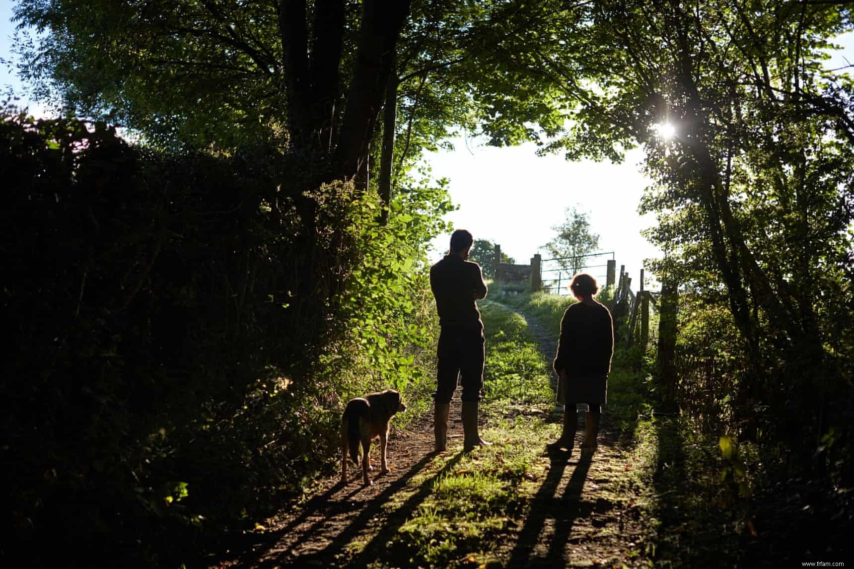 Deux salades d automne de la ferme biodynamique Fern Verrow 