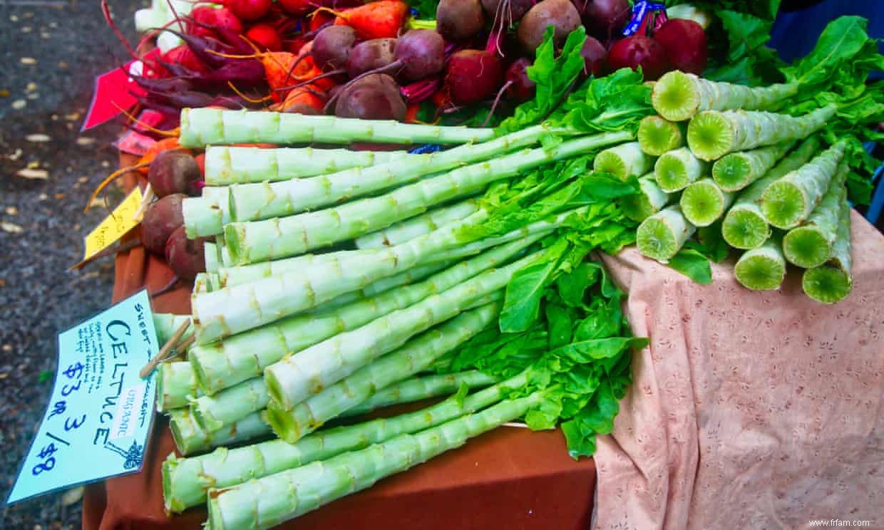 Cuisiner avec la laitue :le top model des légumes 