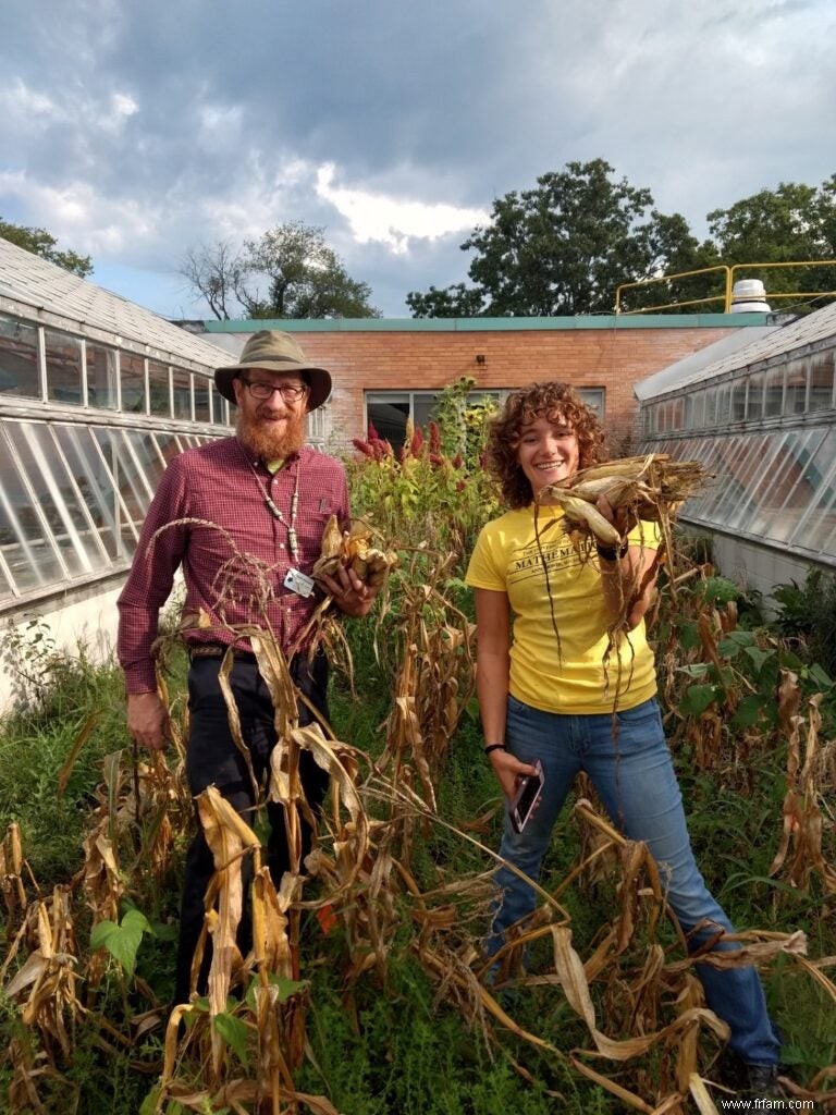 Les agriculteurs indigènes  rematrient  des graines vieilles de plusieurs siècles pour planter un mouvement / 