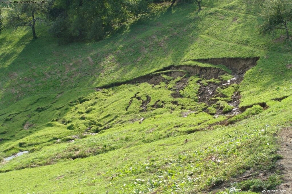 De nouvelles forêts robustes pourraient empêcher les Alpes autrichiennes de s effondrer en glissements de terrain 