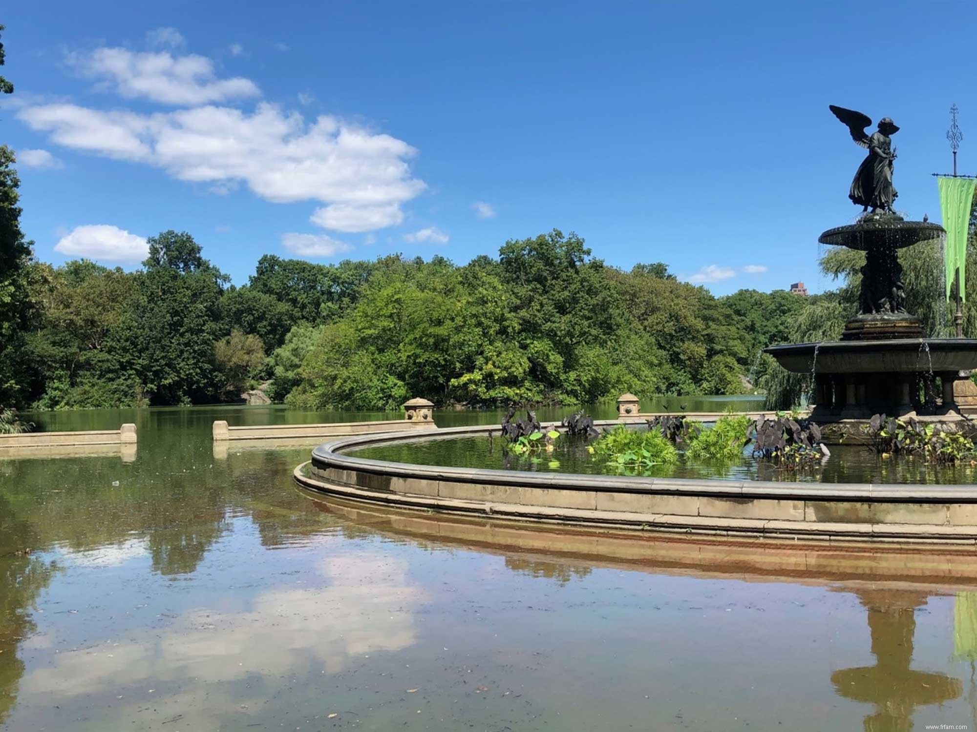 Une expérience d adaptation au climat est en cours dans l un des plus grands parcs de New York 