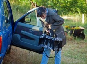 Liste de fournitures d urgence pour chat de sept jours 