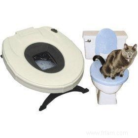 Étapes impliquées dans la formation aux toilettes pour chats 