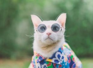 Plus de 140 noms de chats hippies avec une touche bohème 