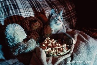 Plus de 160 noms de chats tirés de films pour chaque personnalité d animal de compagnie 