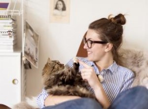 70 noms de chats suédois de doux à courageux 