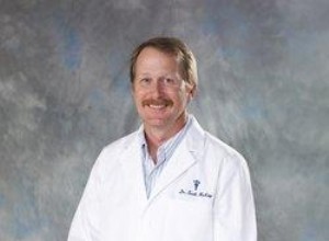 Le point de vue d un vétérinaire sur les maladies rénales chez les chats 