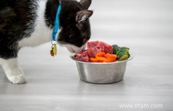 Quels aliments de table les chats peuvent-ils manger ? 