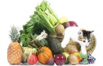 Quels aliments de table les chats peuvent-ils manger ? 