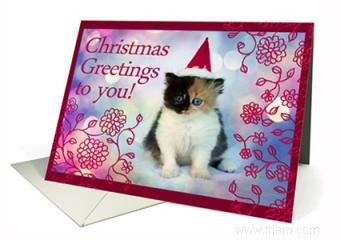 Où trouver des cartes de Noël avec des photos de chaton 