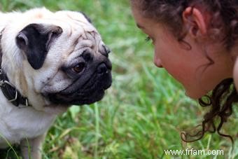 3 façons rapides d amener votre chien à arrêter d aboyer 