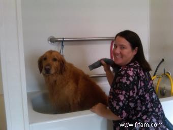 Conseils de toilettage pour chiens de la toiletteuse professionnelle Kelly Haggard 