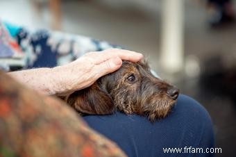 Combien de temps vivent les chiens 