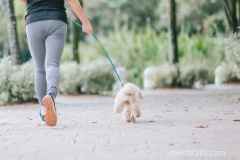 Comment aider votre chien souffrant de luxation de la rotule 