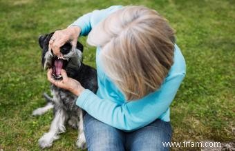 Comment sauver un chien qui s étouffe 