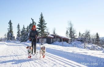 Risques hivernaux pour la santé des chiens 