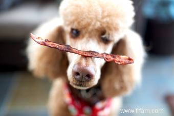 Les chiens peuvent-ils manger du bacon ? Donner de la viande à votre chiot 