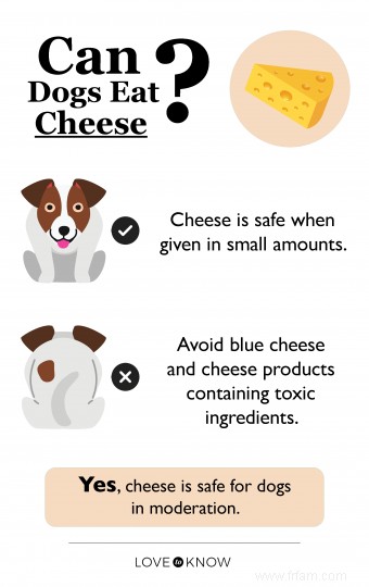 Les chiens peuvent-ils manger du fromage (en toute sécurité) ? Réponse expliquée pour les propriétaires 