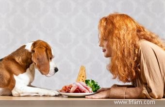 Les chiens peuvent-ils manger du jambon ? Conseils de sécurité que tous les propriétaires devraient connaître 