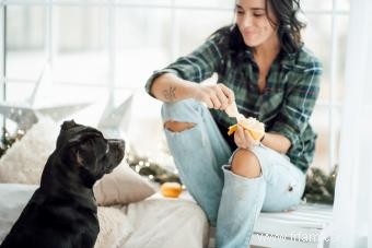 Les chiens peuvent-ils manger des oranges ? Un regard sur les impacts de ces fruits sur les chiens 