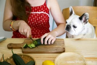 Les chiens peuvent-ils manger des cornichons ? Évitez de les ramasser pour votre chiot 