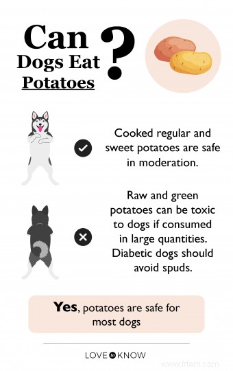 Les chiens peuvent-ils manger des pommes de terre ? Répartition de la consommation sûre du régulier au sucré 