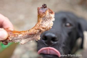 Les chiens peuvent-ils manger des os de côtes ? Mâcher ou ne pas mâcher 