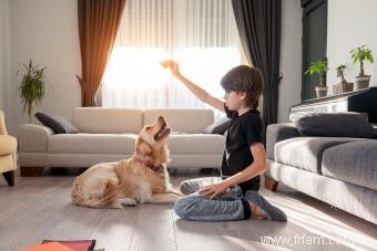 Les chiens peuvent-ils manger de la dinde ? Apprenez si votre chiot peut l avaler 